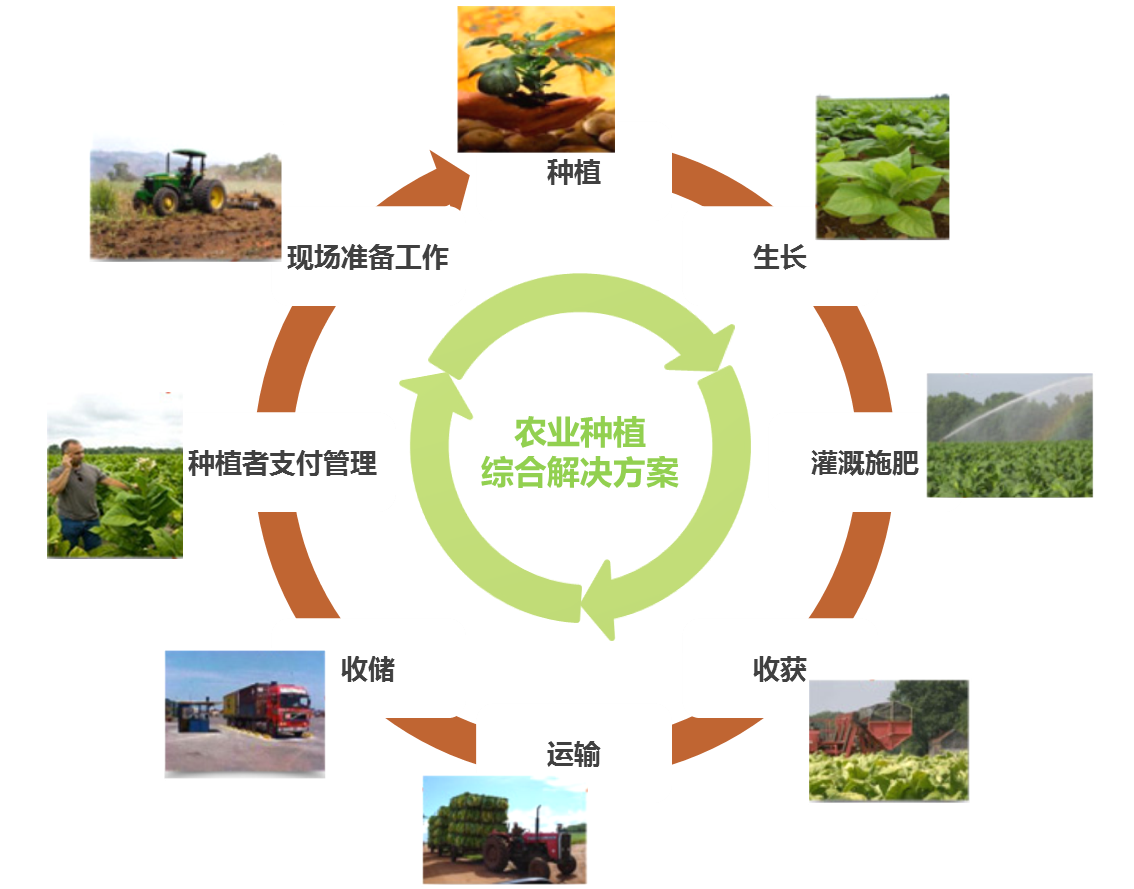 武汉市农业农村形势稳中提质，呈“三高”特点_乡村_建设_治理
